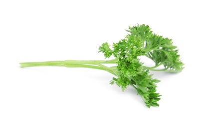 Fresh green organic parsley on white background