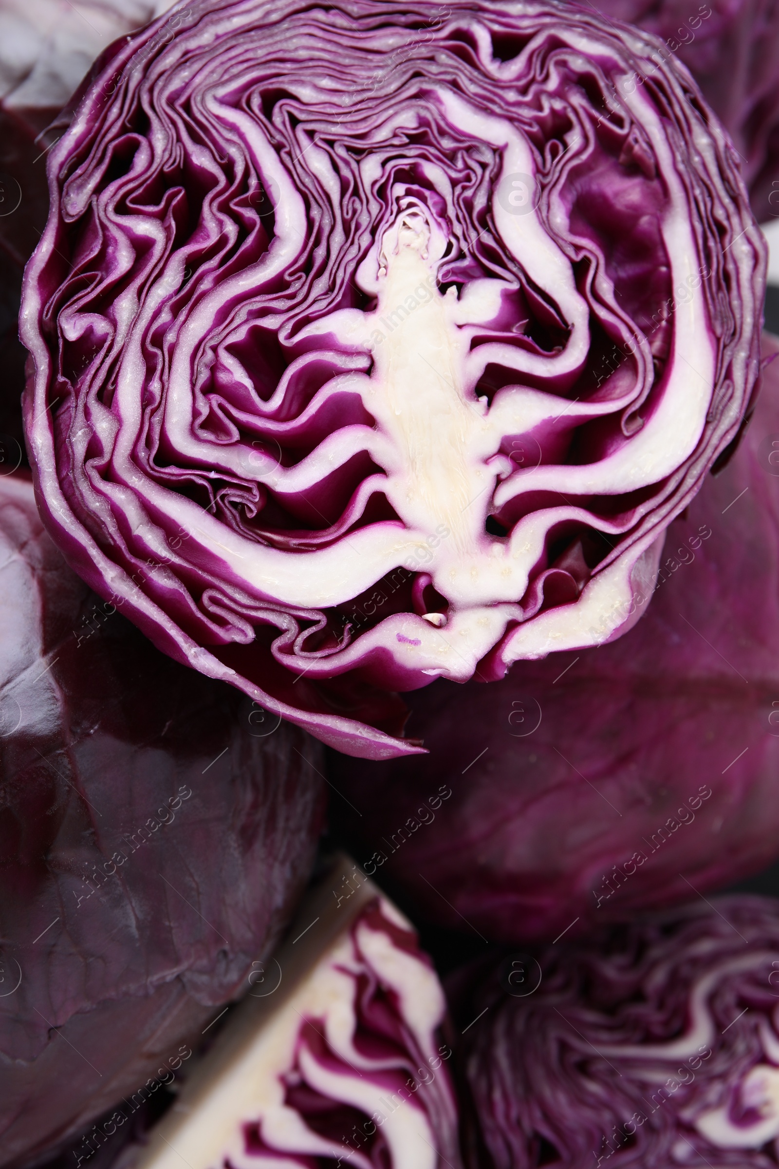 Photo of Cut and whole red cabbages as background, closeup