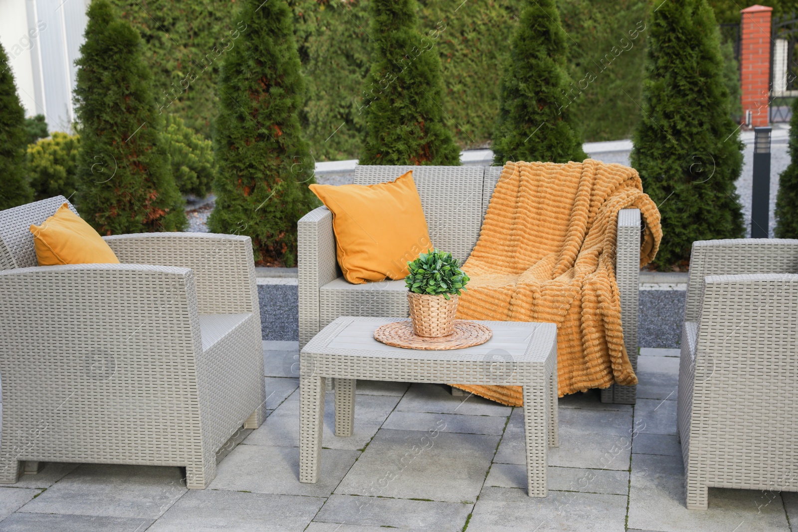 Photo of Beautiful rattan garden furniture, soft pillows and houseplant outdoors