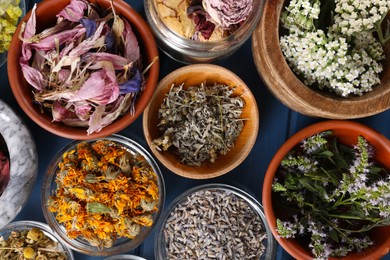 Photo of Many different herbs in bowls on blue wooden table, flat lay