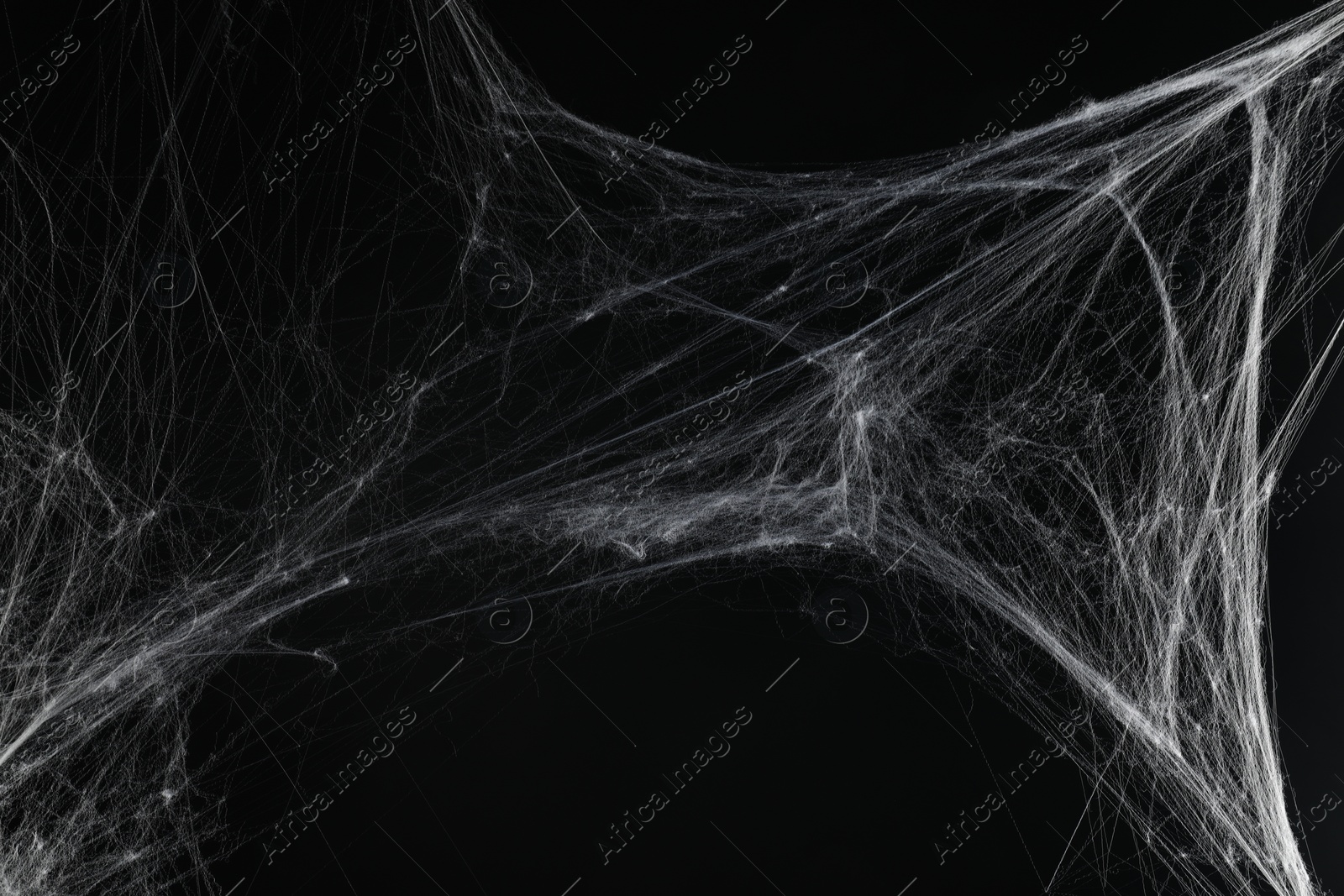 Photo of Creepy white spider web on black background