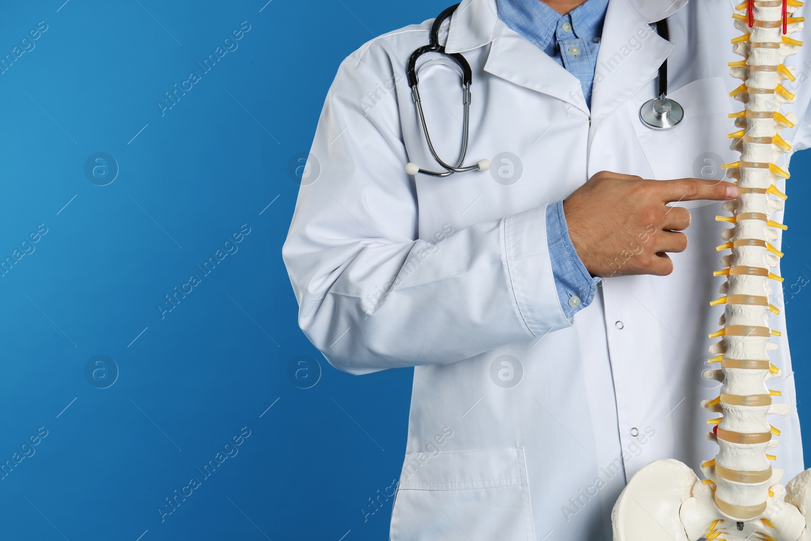 Photo of Male orthopedist with human spine model against blue background, closeup. Space for text