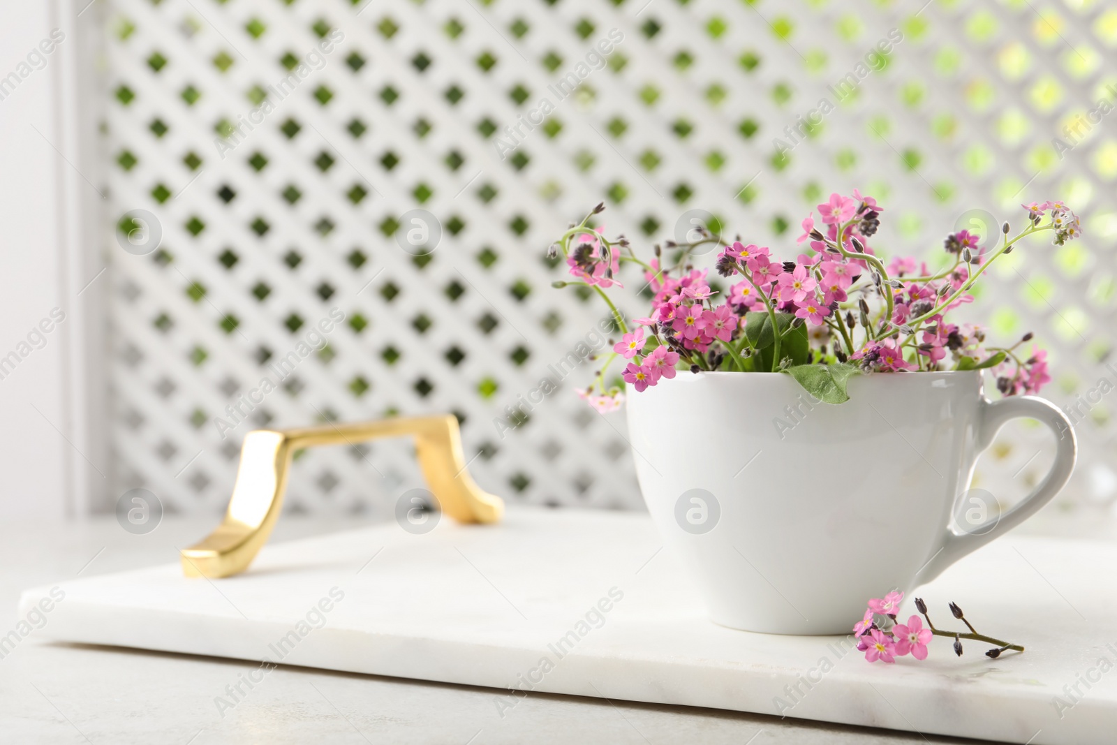 Photo of Beautiful pink forget-me-not flowers with cup on light stone table. Space for text