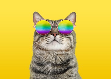 Image of Funny cat in stylish sunglasses with rainbow lenses on yellow background