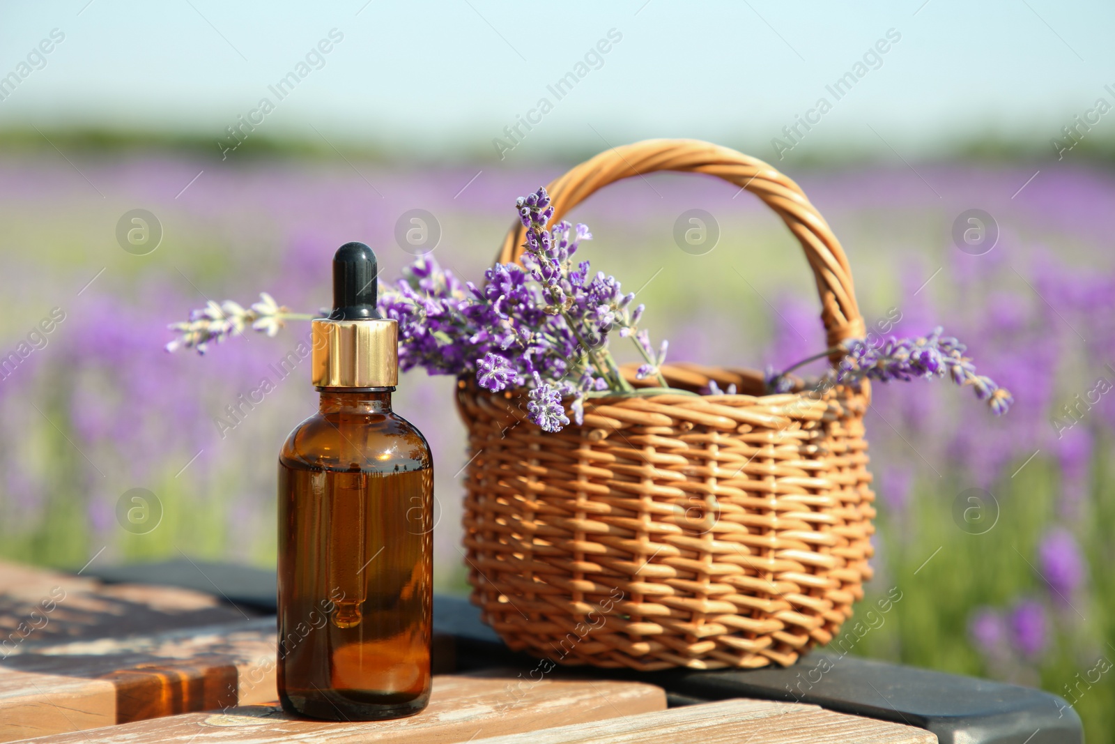 Photo of Bottle of essential oil and wicker bag with lavender flowers on wooden table in field outdoors