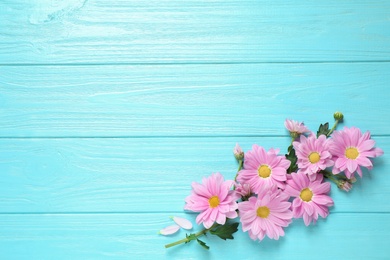 Photo of Beautiful chamomile flowers on light blue wooden background, flat lay. Space for text