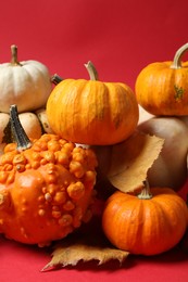 Photo of Happy Thanksgiving day. Beautiful composition with pumpkins on red background, closeup