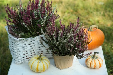 Photo of Beautiful heather flowers and pumpkins on white table outdoors