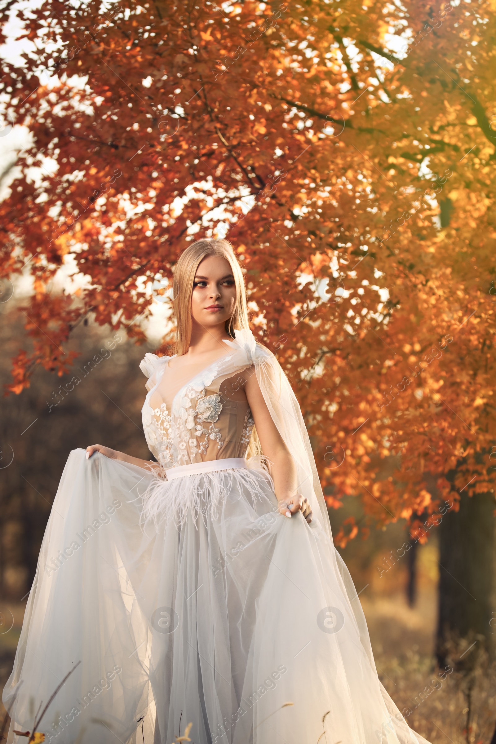 Photo of Beautiful girl wearing fairy dress in autumn forest