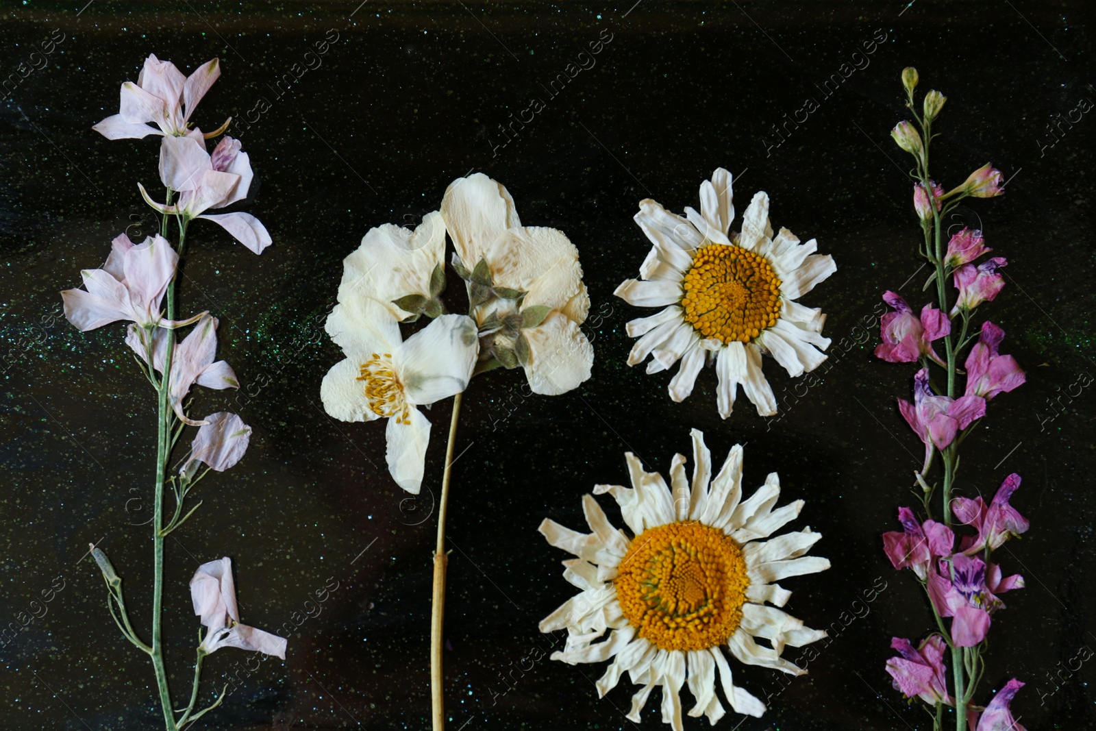 Photo of Beautiful dried flowers on black shimmer table, top view