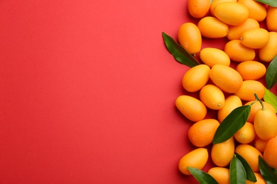 Fresh ripe kumquats with green leaves on red background, flat lay. Space for text