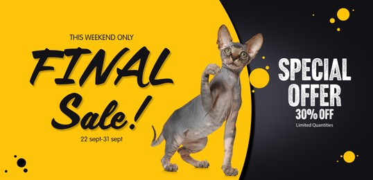 Image of Advertising poster Pet Shop SALE. Cute cat and discount offer on color background, banner design