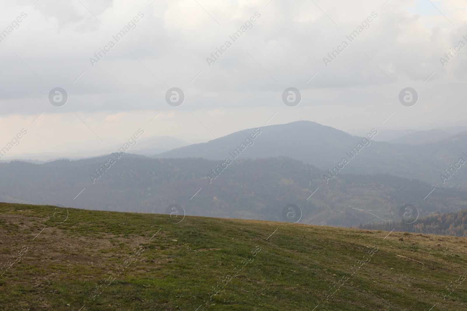 Photo of Beautiful landscape with forest in mountains on autumn day