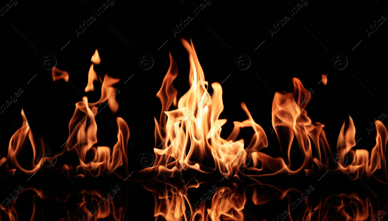 Photo of Beautiful bright fire flames on black background