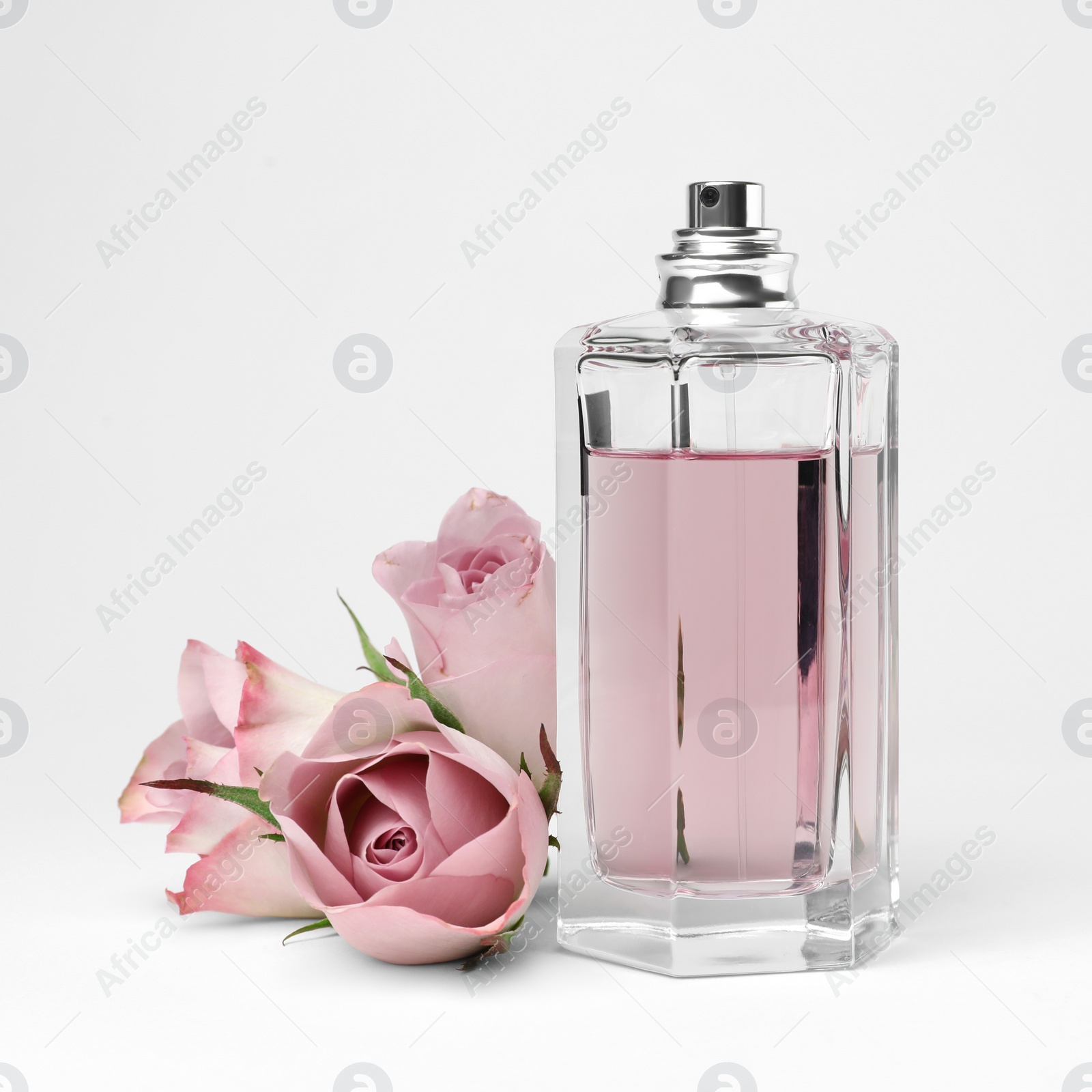 Photo of Transparent bottle of perfume with beautiful roses on white background