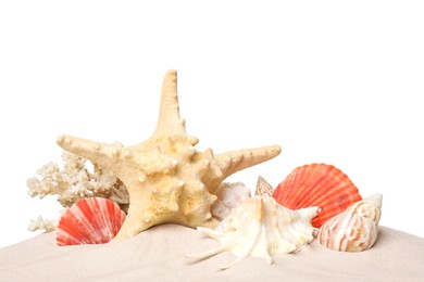 Photo of Beautiful starfish, coral and sea shells in sand on white background