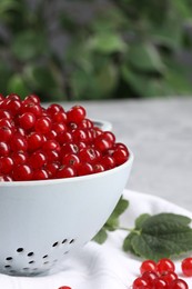 Ripe red currants in colander and leaves on grey table. Space for text