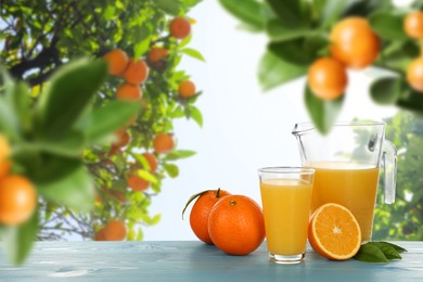 Image of Fresh orange juice on light blue wooden table in orchard. Space for text