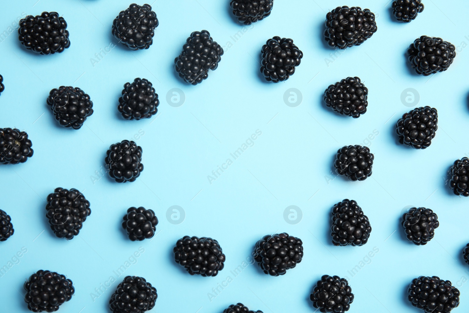 Photo of Flat lay composition with ripe blackberries on color background