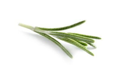 Photo of Fresh rosemary on white background