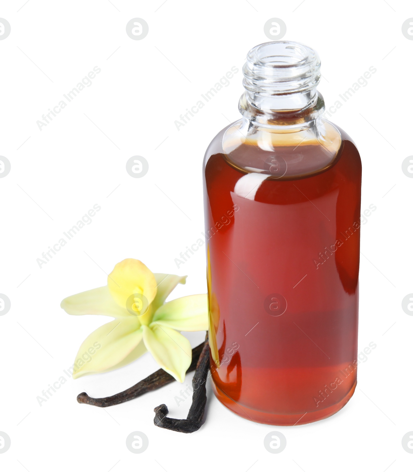 Photo of Vanilla extract, flower and dry pods isolated on white