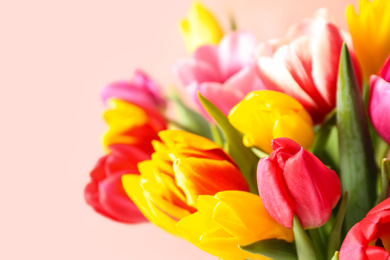 Photo of Beautiful spring tulips on light pink background, closeup