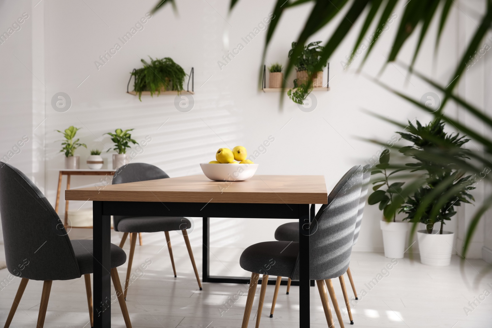 Photo of Ripe quinces on wooden table in room decorated with potted plants. Home design