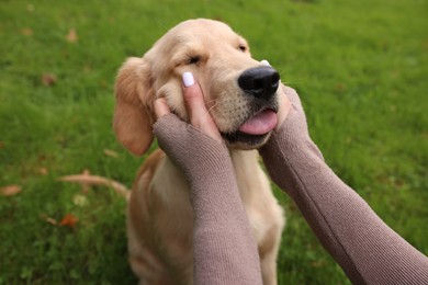 Photo of Woman petting adorable Labrador Retriever puppy on green grass in park, closeup