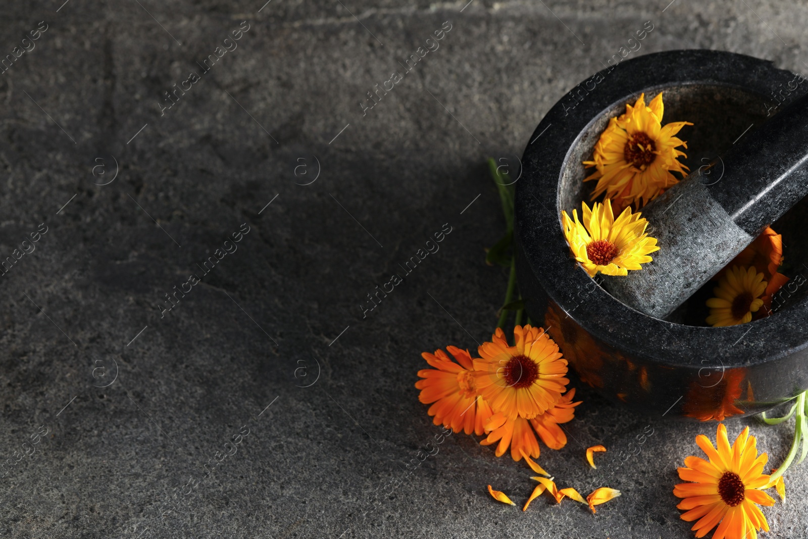 Photo of Mortar with pestle and beautiful calendula flowers on grey table, above view. Space for text