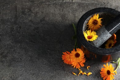 Mortar with pestle and beautiful calendula flowers on grey table, above view. Space for text
