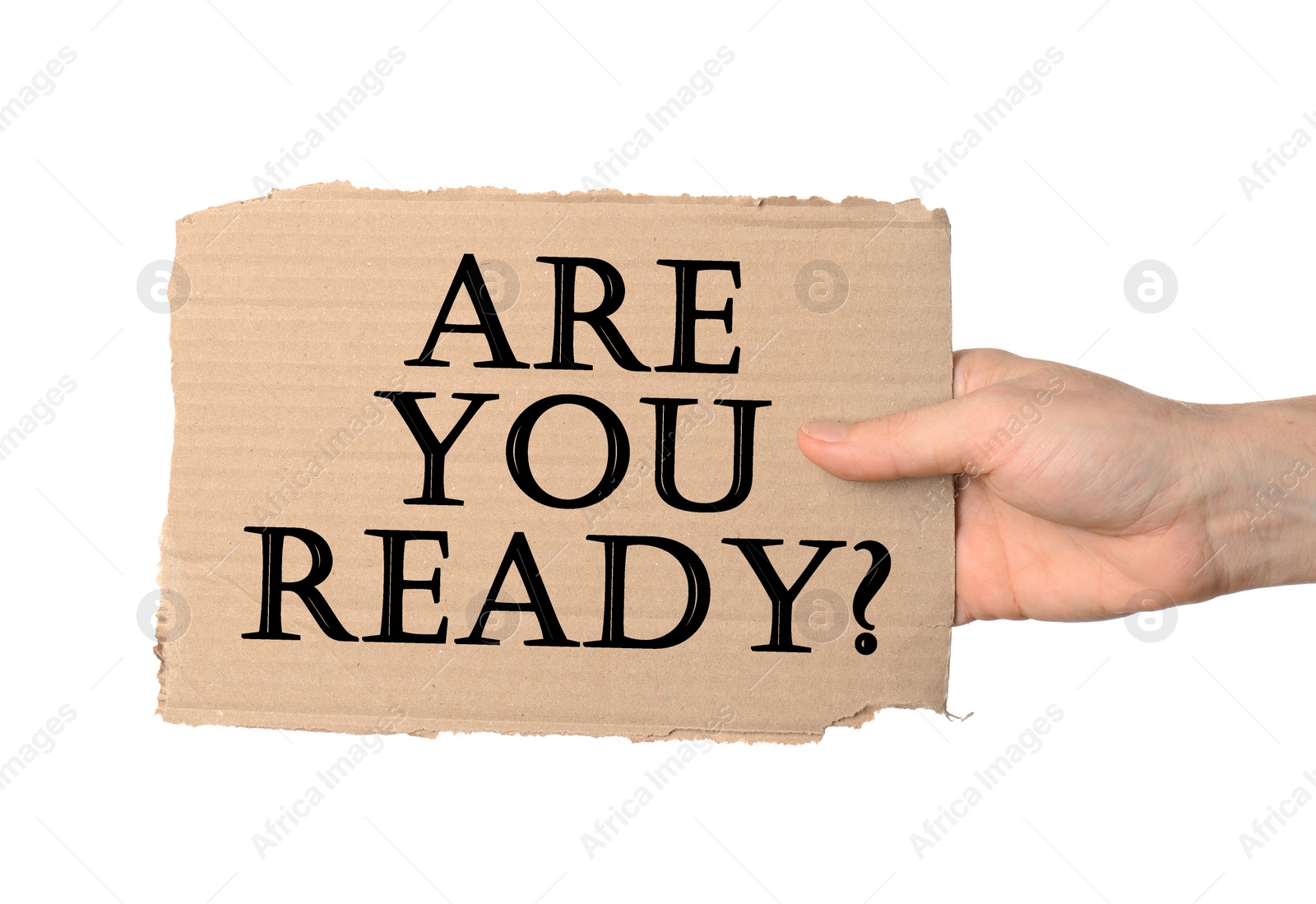 Image of Woman holding piece of cardboard with text Are You Ready? on white background, closeup