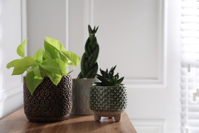 Photo of Beautiful potted houseplants on wooden table indoors. Space for text