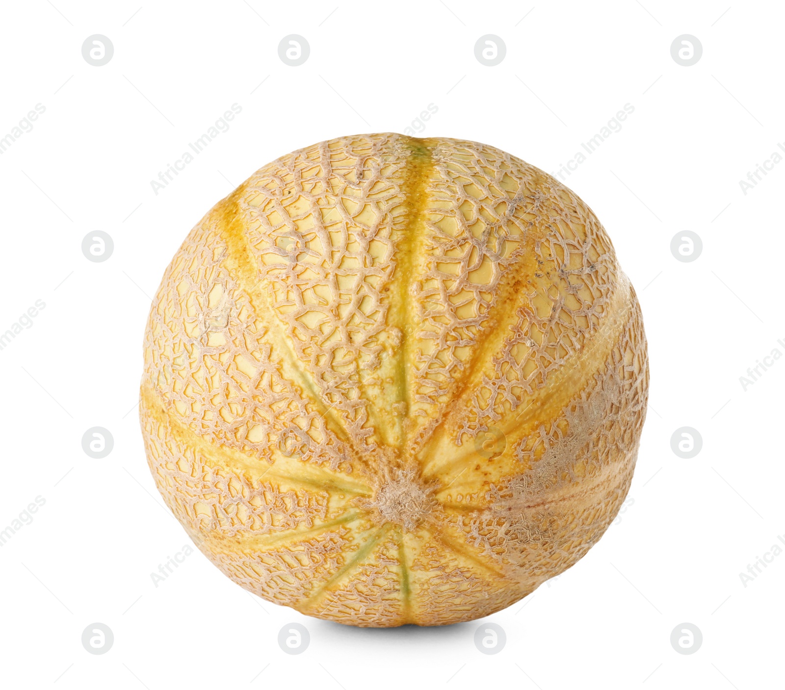 Photo of Whole tasty ripe melon on white background