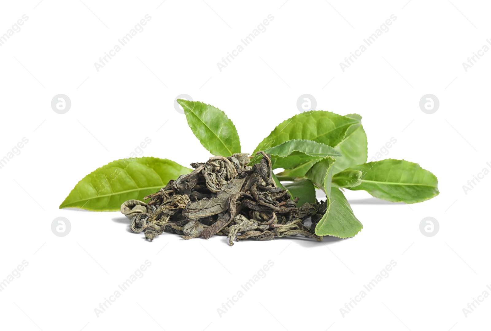 Photo of Dry and fresh tea leaves isolated on white