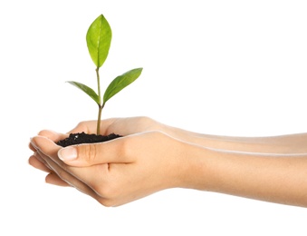 Woman holding soil with green plant in hands on white background