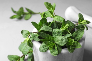 Mortar with fresh green mint on table, closeup