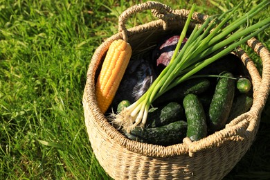 Photo of Tasty vegetables in wicker basket on green grass, closeup