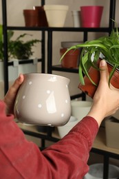 Photo of Woman holding houseplant and new pot indoors, closeup