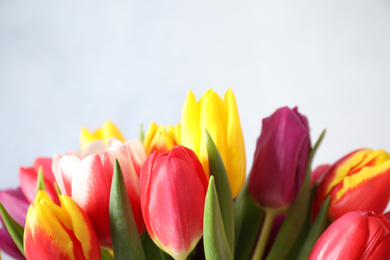 Photo of Beautiful spring tulips on light blue background, closeup. Space for text