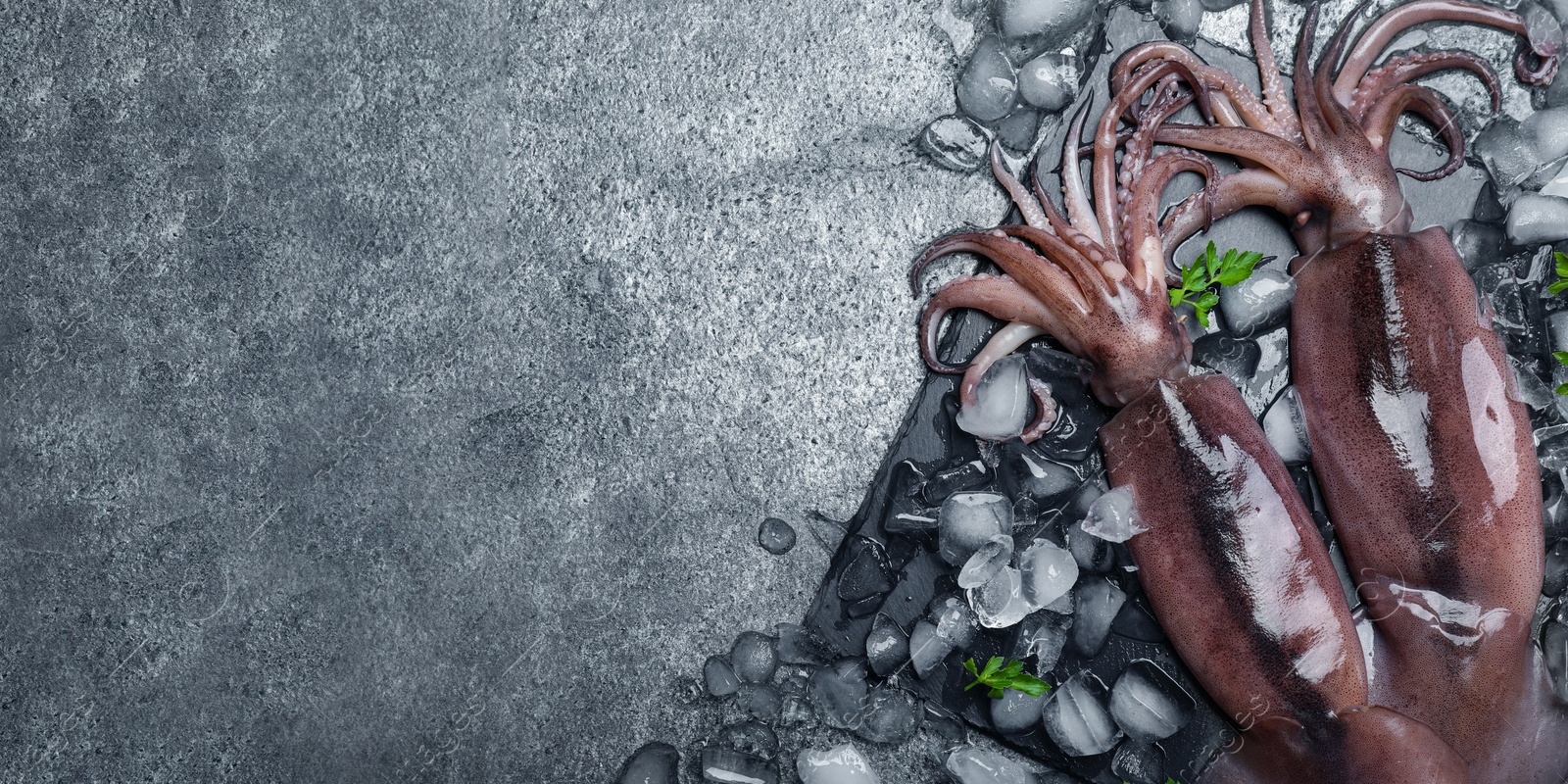 Image of Fresh squids, parsley and ice cubes on grey table, flat lay. Banner design with space for text