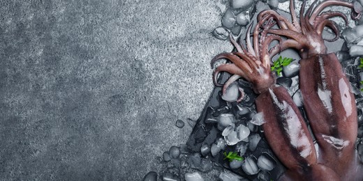 Image of Fresh squids, parsley and ice cubes on grey table, flat lay. Banner design with space for text