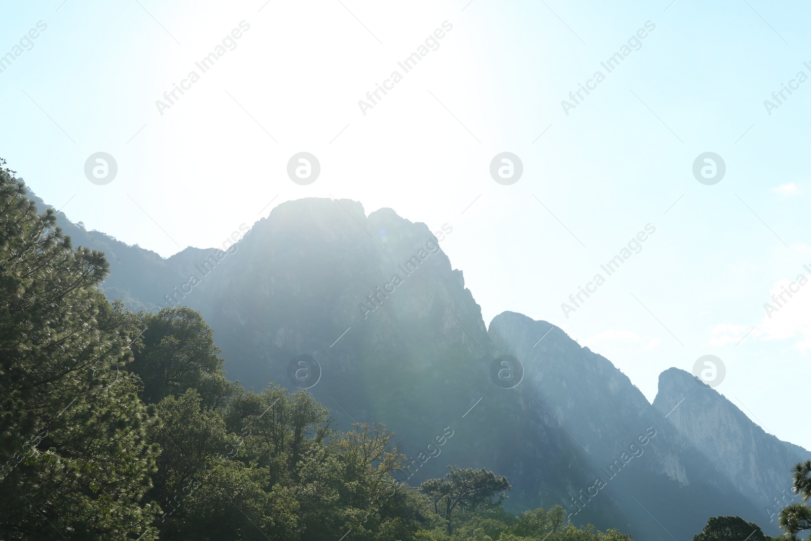 Photo of Picturesque view of big mountains and trees under blue sky on sunny day