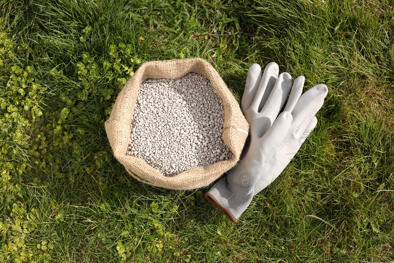 Photo of Fertilizer in bag and gloves on green grass outdoors, flat lay