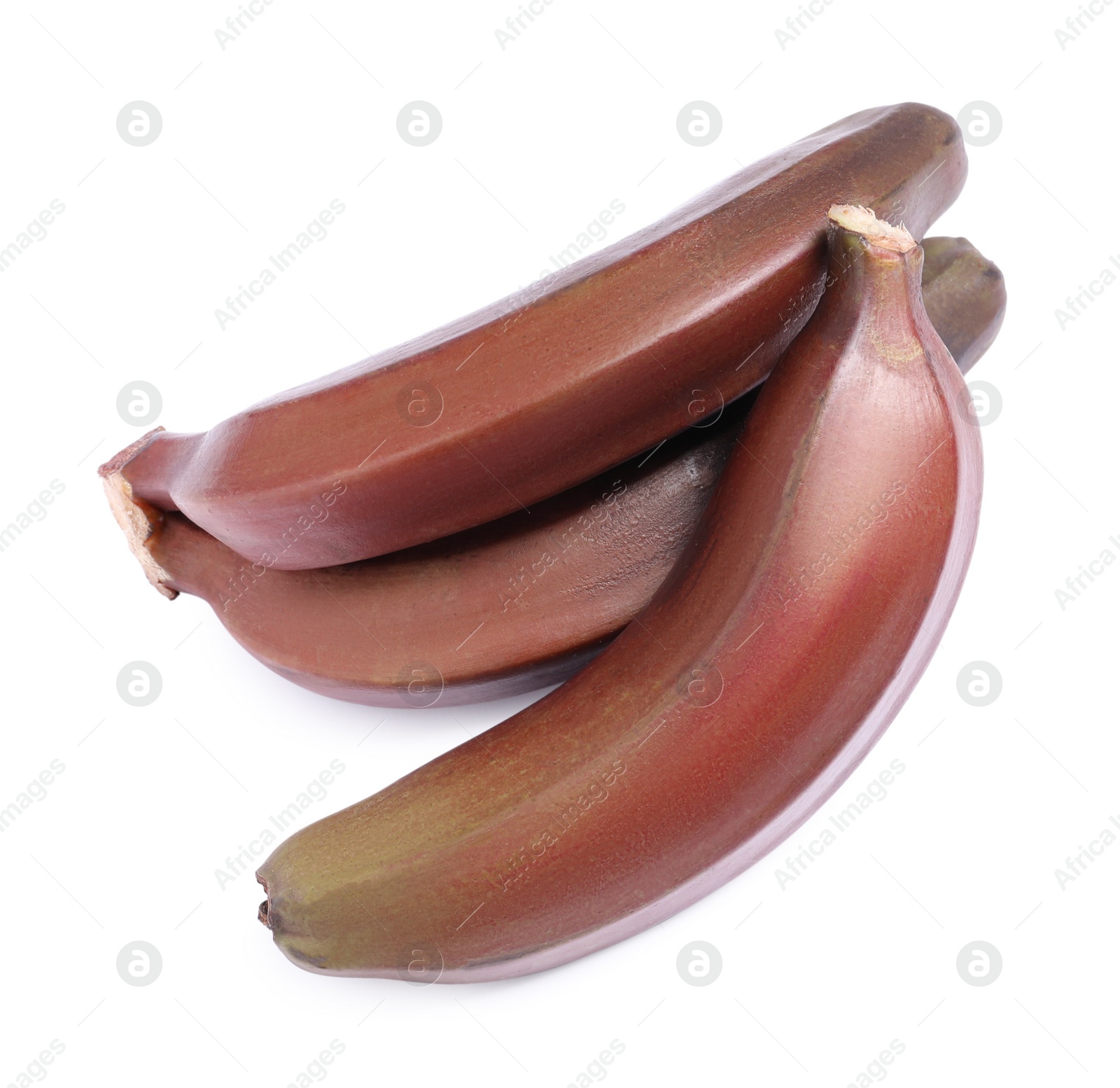 Photo of Tasty red baby bananas on white background