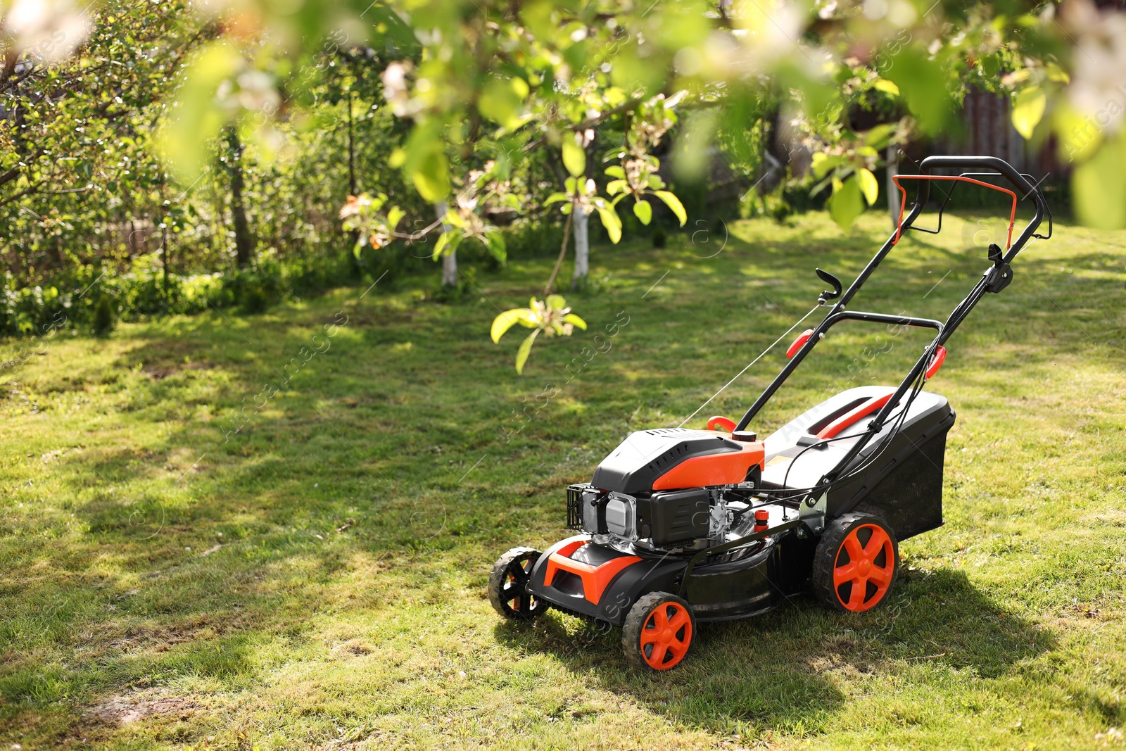 Photo of Modern lawn mower on green grass in garden