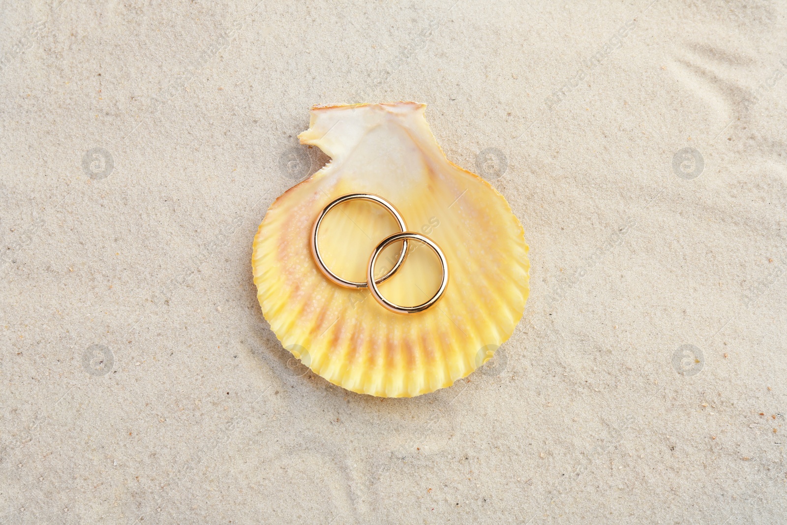 Photo of Honeymoon concept. Two golden rings with shell on sand, top view