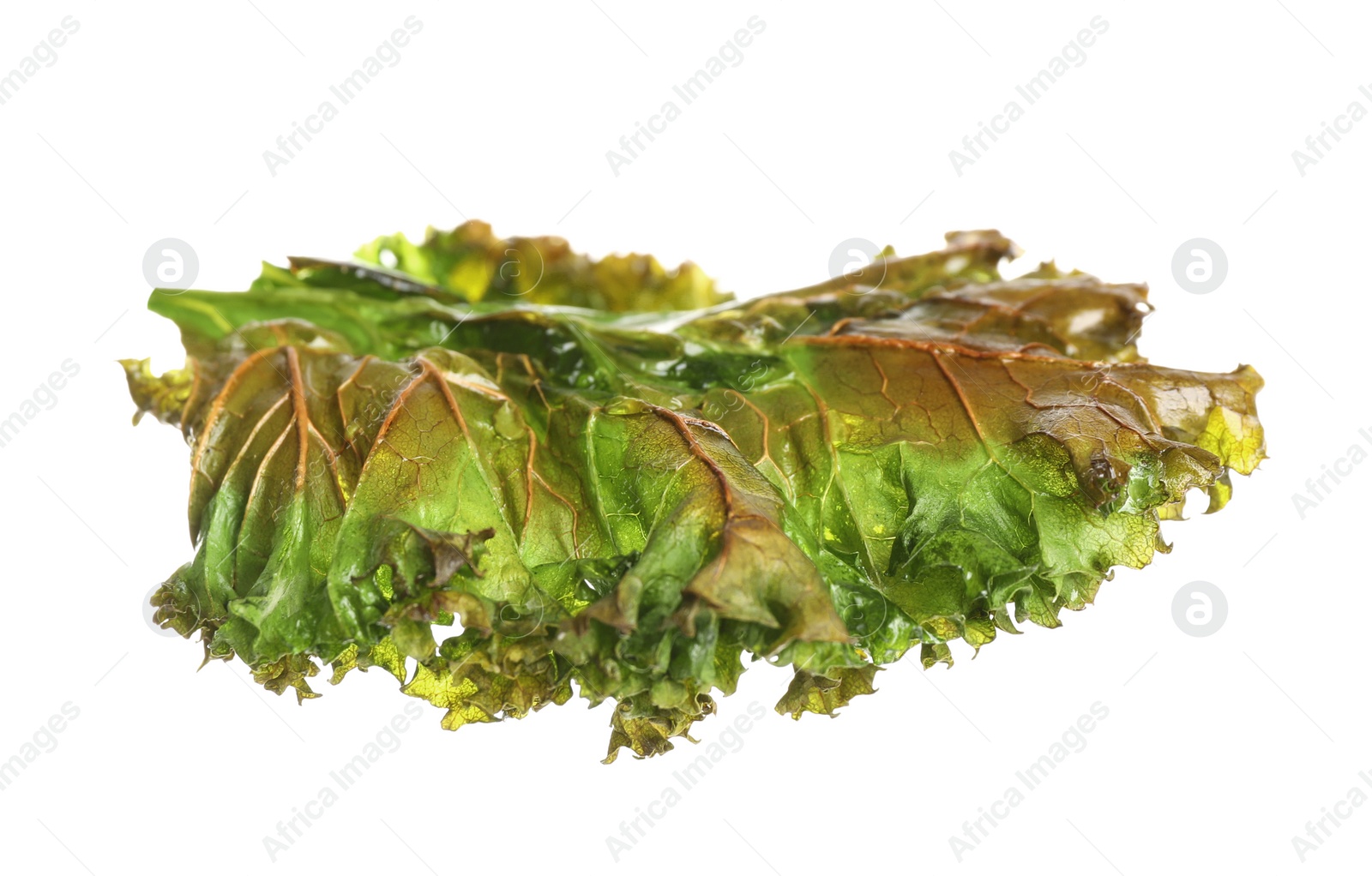 Photo of Tasty baked kale chip isolated on white