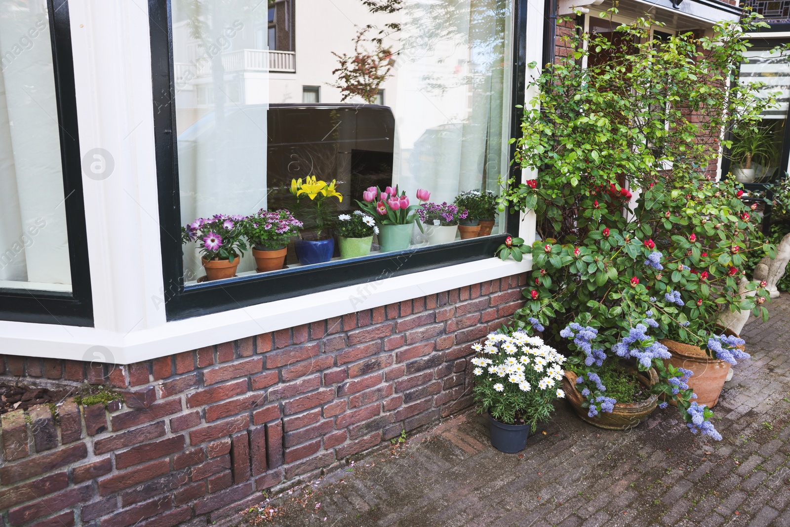 Photo of House decorated with many beautiful potted flowers, view from outside