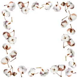 Frame made of fluffy cotton flowers on white background