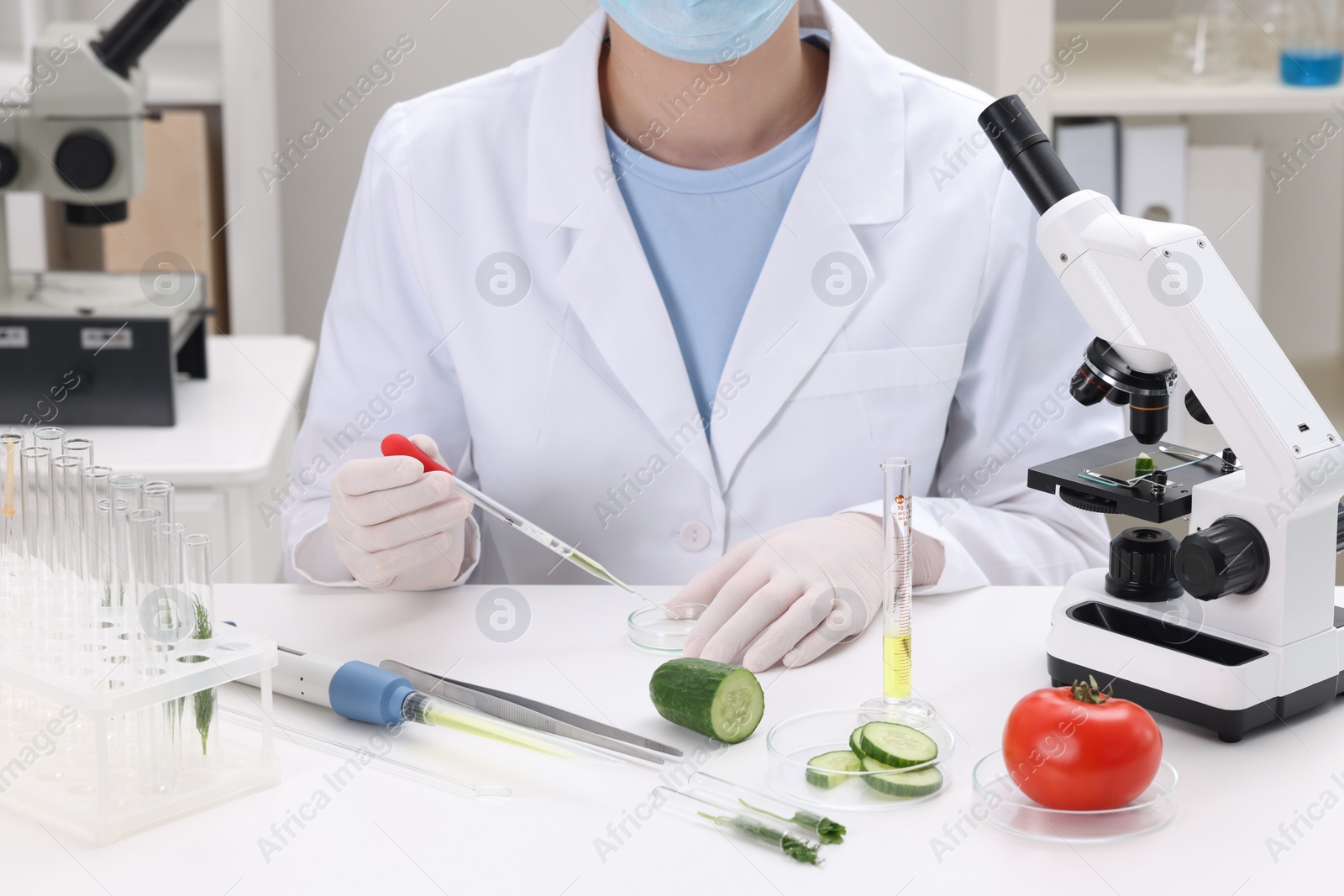 Photo of Quality control. Food inspector checking safety of products in laboratory, closeup